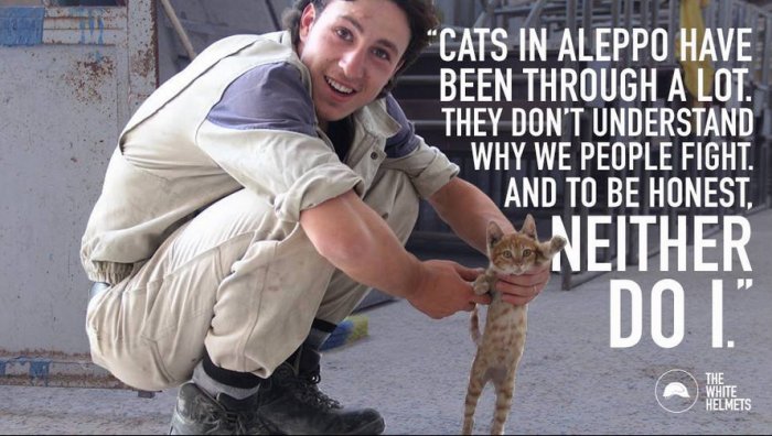 Heart String pulling White Helmet kitten campaigns