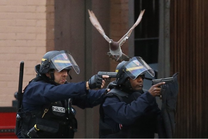Police and pigeon