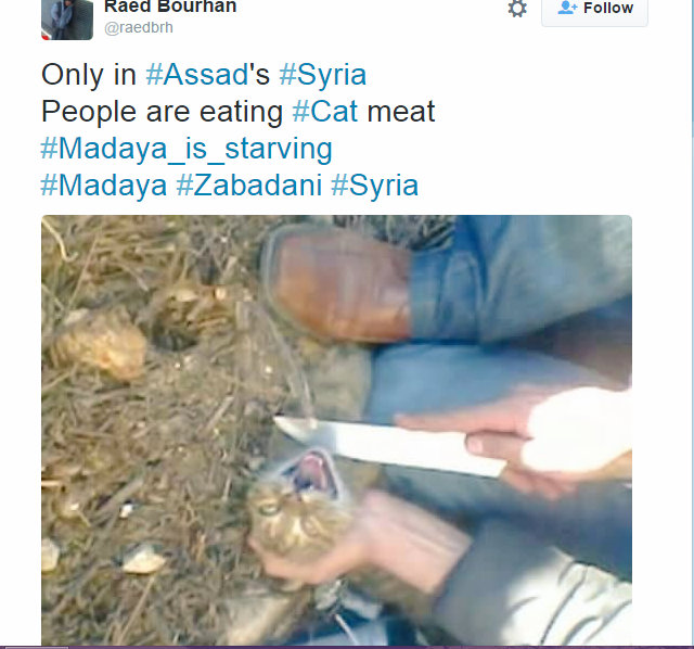 Raed Bourhan Times tweet