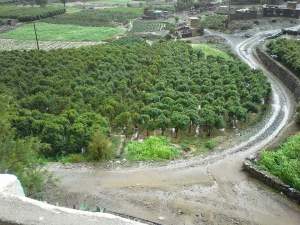 FB_IMG_1460418115080